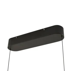 LED-hængelampe Arvon, sort, 117 cm, dæmpbar, CCT^Lucande Sale