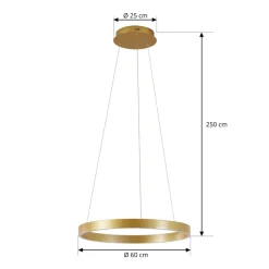 Lucande LED-hængelampe Yonam, Ø 60 cm, 1 lyskilde, guld, CCT