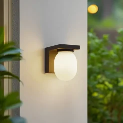 Lucande udendørs væglampe Ovaali, glas, mørkegrå, IP65