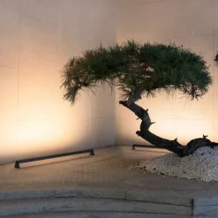 Wallis Gartia LED udendørs spotlight, 15W, 827^MEGATRON Hot