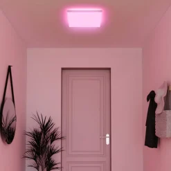 tint Müller Licht farvet LED-panel Loris, 45x45cm