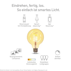 Müller Licht LED-globe G95 E27 5,5 W, guld^tint