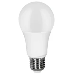 tint Müller Licht white LED-pære E27 9W, CCT