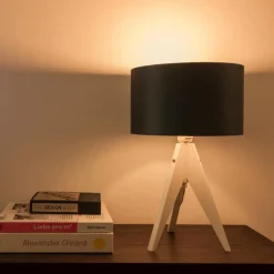 tint Müller Licht white LED-pære E27 9W, CCT