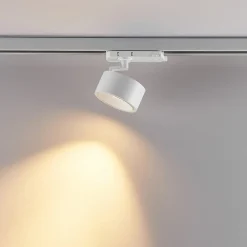 Molto Luce Skinnesystem><noscript><img width=