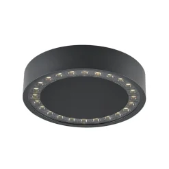 udendørs loftlampe Nona, Ø 22,8 cm, antracit^Molto Luce Hot