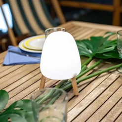 Newgarden Dekorationsbelysning>Rocket 20 LED dekorationslys med træ, genopladeligt batteri