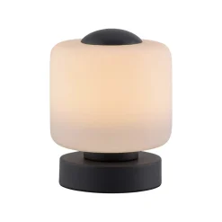 Paul Neuhaus Bordlamper>LED-bordlampe Bota, antracit, glas, dæmpbar