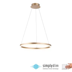 Paul Neuhaus Pendellamper><noscript><img width=