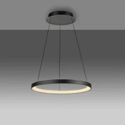 Paul Neuhaus LED-hængelampe Hoop, sort, Ø 57 cm, dæmpbar