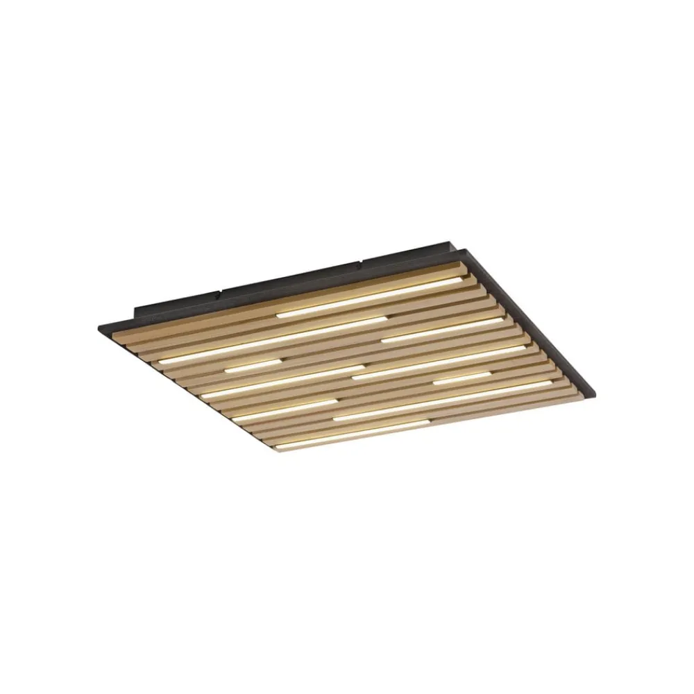 Q-Smart-Home Loftlamper|Loftlamper>Paul Neuhaus Loftlampe Q-Acoustic træ 62 x 62 cm