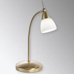 Paul Neuhaus Pino bordlampe, messing, 45 cm, dæmpbar, G9