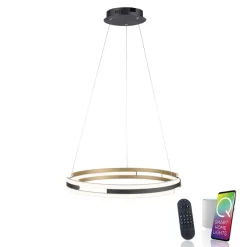 Q-Smart-Home Paul Neuhaus Q-Beluga LED-hængelampe, messing