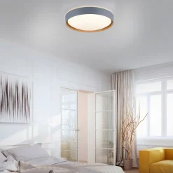 Paul Neuhaus Q-EMILIA LED-loftslampe, grå/træ^Q-Smart-Home Online