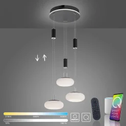Paul Neuhaus Q-ETIENNE hængelampe rondel, sort^Q-Smart-Home New
