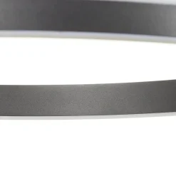 Q-Smart-Home Paul Neuhaus Q-VITO LED-hengelampe 59 cm antracit