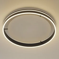 Q-Smart-Home Paul Neuhaus Q-VITO LED-loftlampe 59 cm antracit