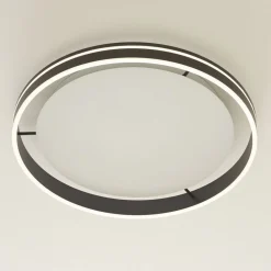 Q-Smart-Home Paul Neuhaus Q-VITO LED-loftlampe 59 cm antracit