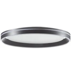 Q-Smart-Home Paul Neuhaus Q-VITO LED-loftlampe 59 cm antracit