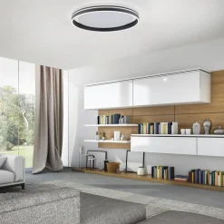 Q-Smart-Home Paul Neuhaus Q-VITO LED-loftlampe 59 cm antracit