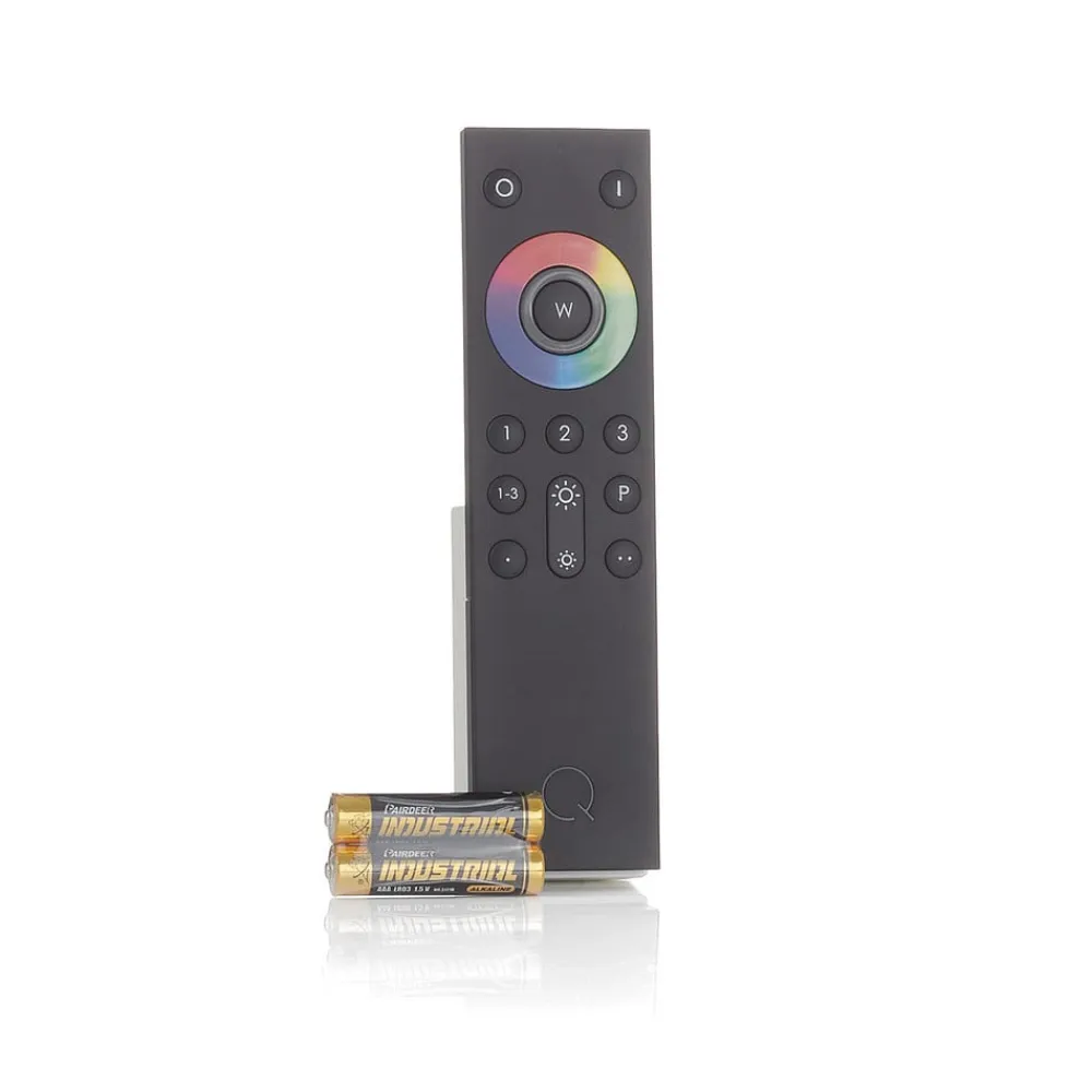 Q-Smart-Home Paul Neuhaus Q-VITO LED-loftslampe 79 cm stål