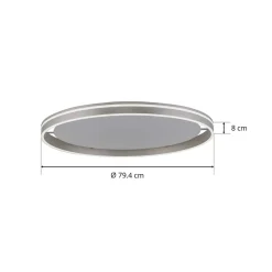 Q-Smart-Home Paul Neuhaus Q-VITO LED-loftslampe 79 cm stål