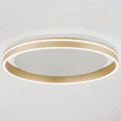 Q-Smart-Home Loftlamper|Loftlamper>Paul Neuhaus Q-VITO LED-loftslampe, Ø 60 cm