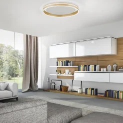 Q-Smart-Home Loftlamper|Loftlamper>Paul Neuhaus Q-VITO LED-loftslampe, Ø 60 cm