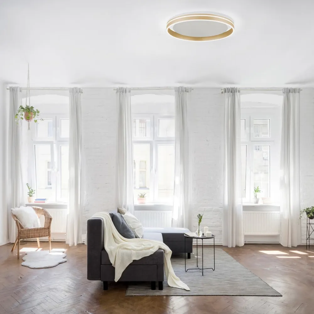 Q-Smart-Home Loftlamper|Loftlamper>Paul Neuhaus Q-VITO LED-loftslampe, Ø 60 cm