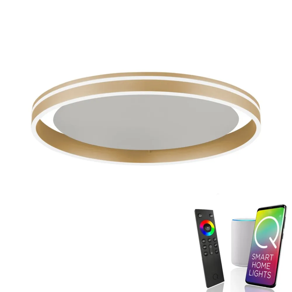 Q-Smart-Home Loftlamper|Loftlamper>Paul Neuhaus Q-VITO LED-loftslampe, Ø 60 cm