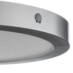 Paulmann Abia LED-panel Ø 30 cm 2.700 K mat krom