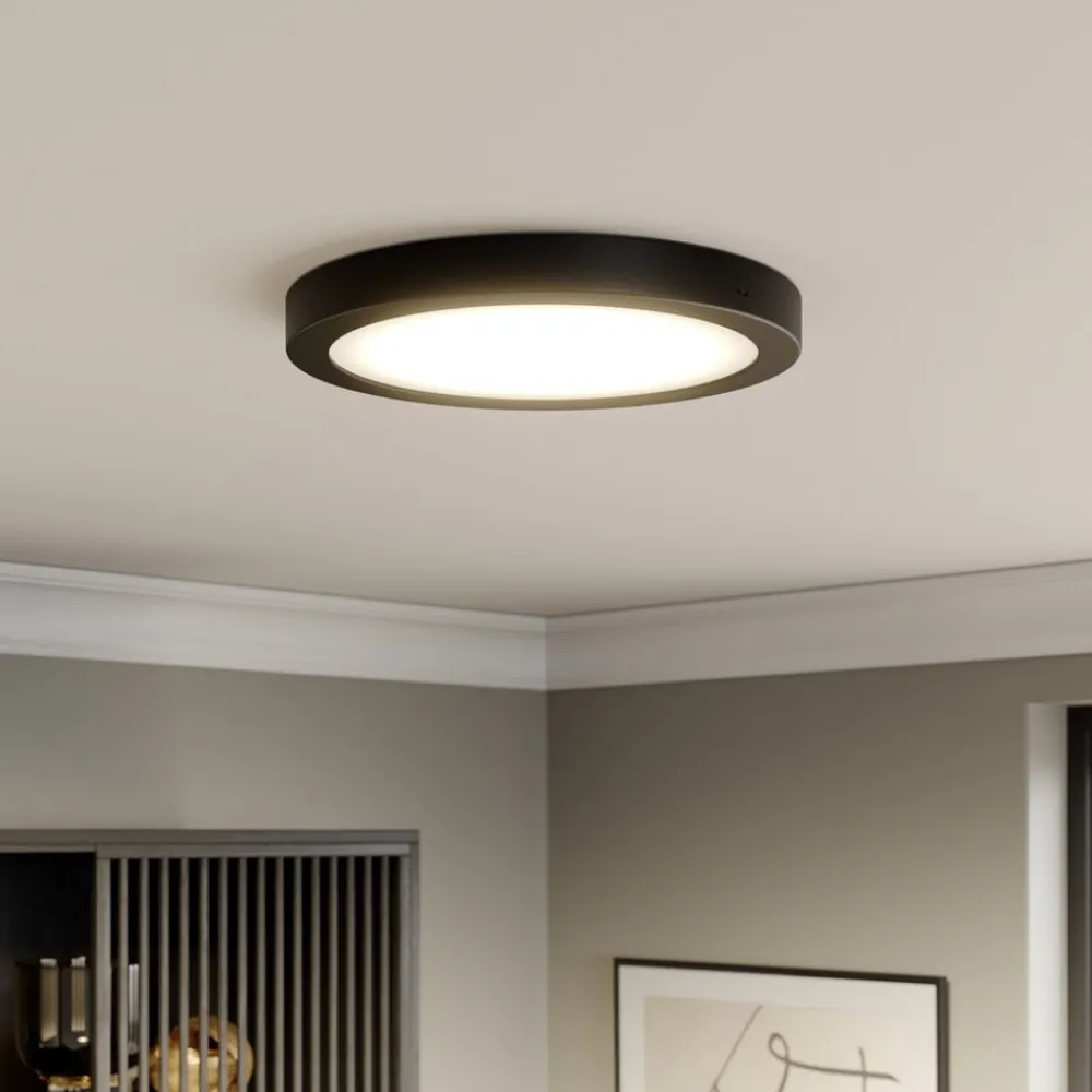 Paulmann Abia LED-panel Ø 30cm 2.700 K mat sort