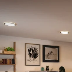 Atria Shine Panel on/off krom 830 Ø19cm^Paulmann Online