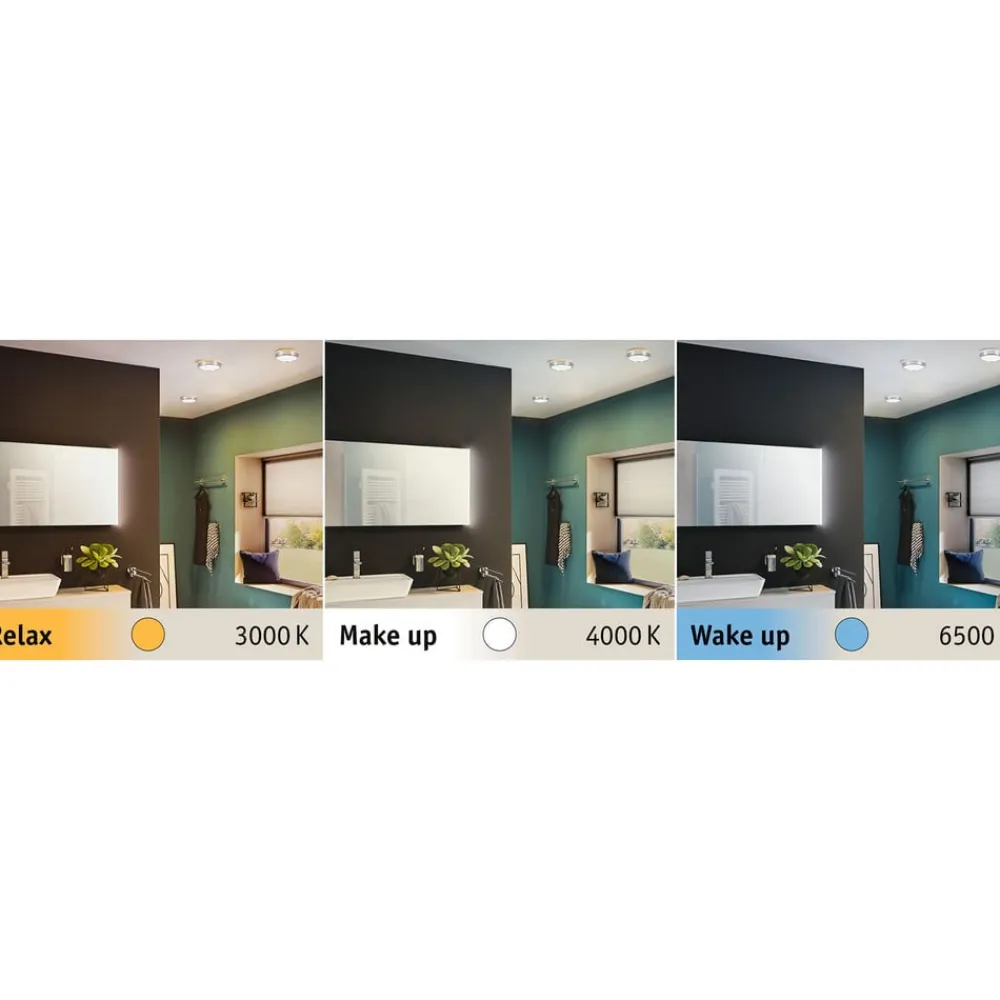 Paulmann Aviar LED-loftlampe WhiteSwitch, Ø 22 cm