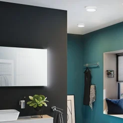 Paulmann Aviar LED-loftlampe Ø 22 cm hvid 4.000 K