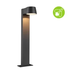 Capea LED-gadelampe, antracitgrå aluminium^Paulmann Online