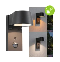 Capea udendørs LED-væglampe, antracit, aluminium^Paulmann Clearance