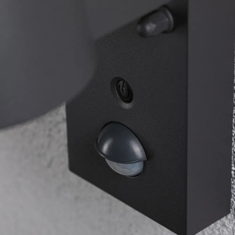 Capea udendørs LED-væglampe, antracit, aluminium^Paulmann Clearance