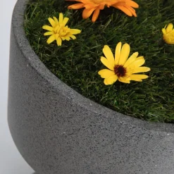 Concrea LED-dekorationslampe, plantekar^Paulmann Hot