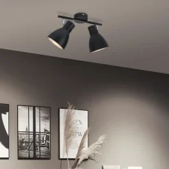 Paulmann Spotlights>Davy loftlampe, sort, 2 lyskilder