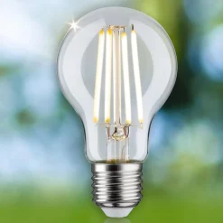 Paulmann Eco-Line LED-pære E27 2,5 W 525lm 3.000 K