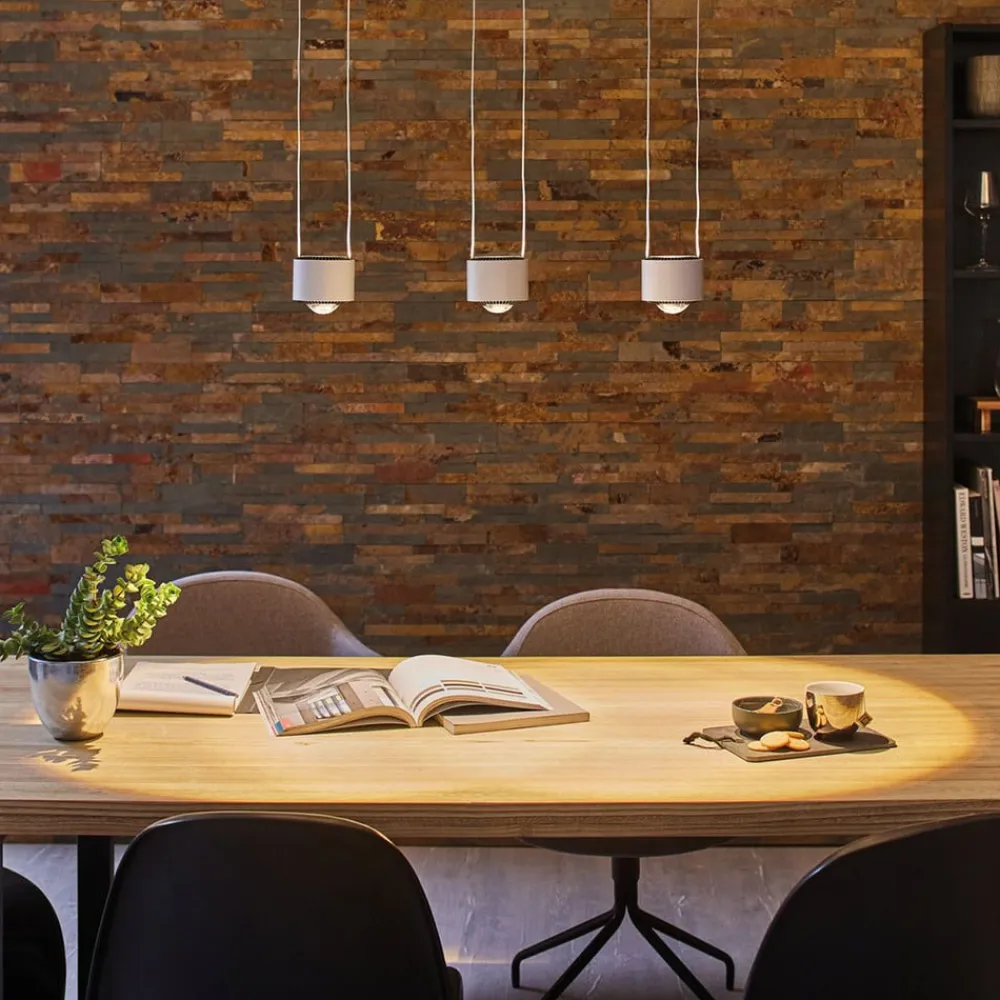 Paulmann LED hængelampe Aldan URail, dæmpbar