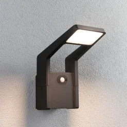 LED udendørs væglampe Juntea, aluminium, antracit, sensor^Paulmann