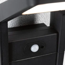 LED udendørs væglampe Juntea, aluminium, antracit, sensor^Paulmann