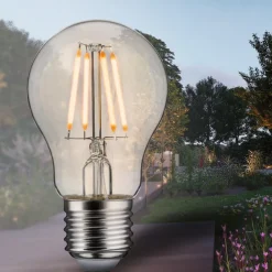 Paulmann Filament Pære><noscript><img width=