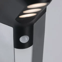 LED-væglampe med solcelle Soley antracit^Paulmann Sale