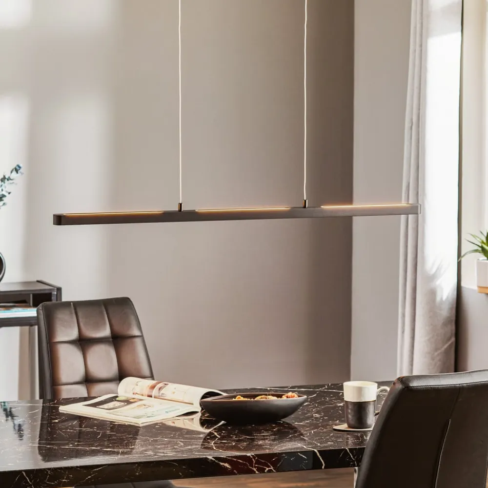 Paulmann Pendellamper>Lento LED-pendel sort dæmpbar Up-&Downlight