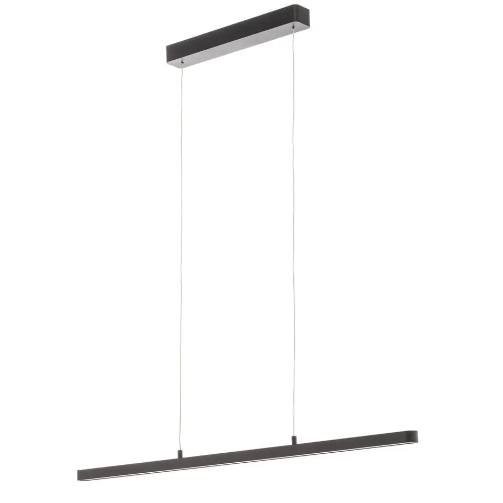 Paulmann Pendellamper>Lento LED-pendel sort dæmpbar Up-&Downlight