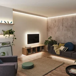 Paulmann Led Strips>MaxLED 250 udvidelse IP20 RGBW 1 m