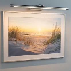 Paulmann Væglamper>Mingo LED-billedlampe 61,5 cm aluminium, birketræ.